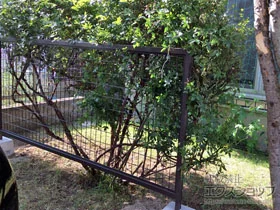 LIXIL(リクシル)のフェンス・柵 アルメッシュフェンス1型 間仕切りタイプ 施工例