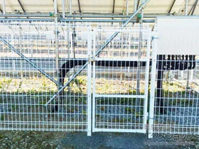 積水樹脂(セキスイ)の門扉 メッシュフェンスG-10　門扉　片開き 施工例